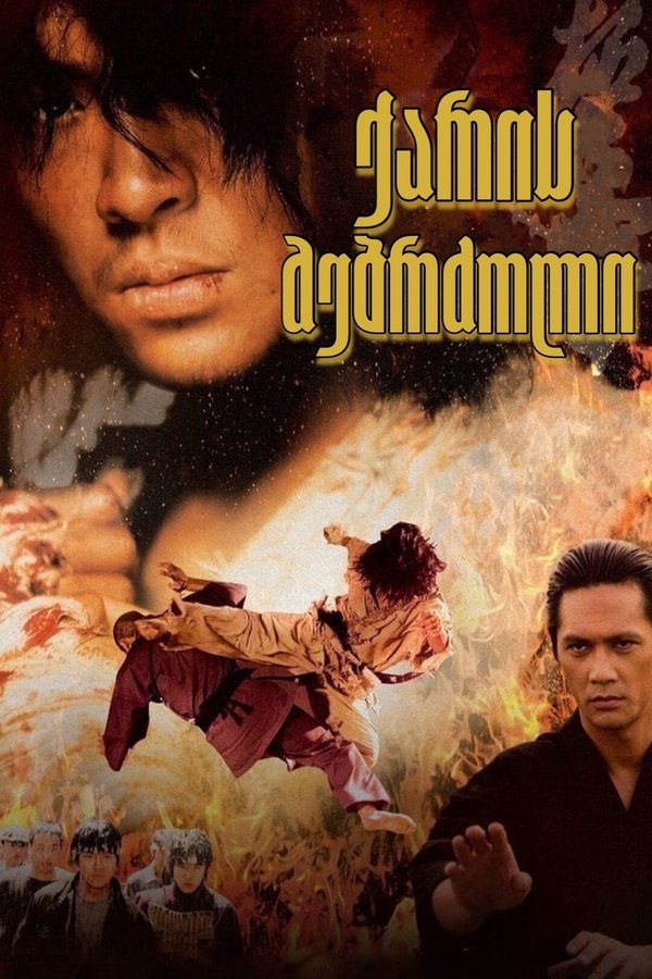 ქარში მებრძოლი / Fighter in the Wind (ქართულად) (2004)