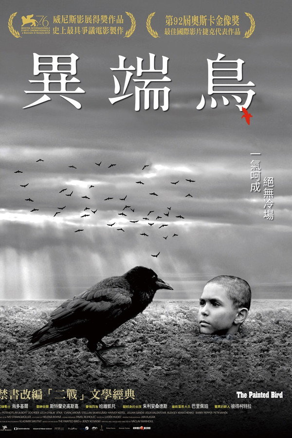 被涂污的鸟