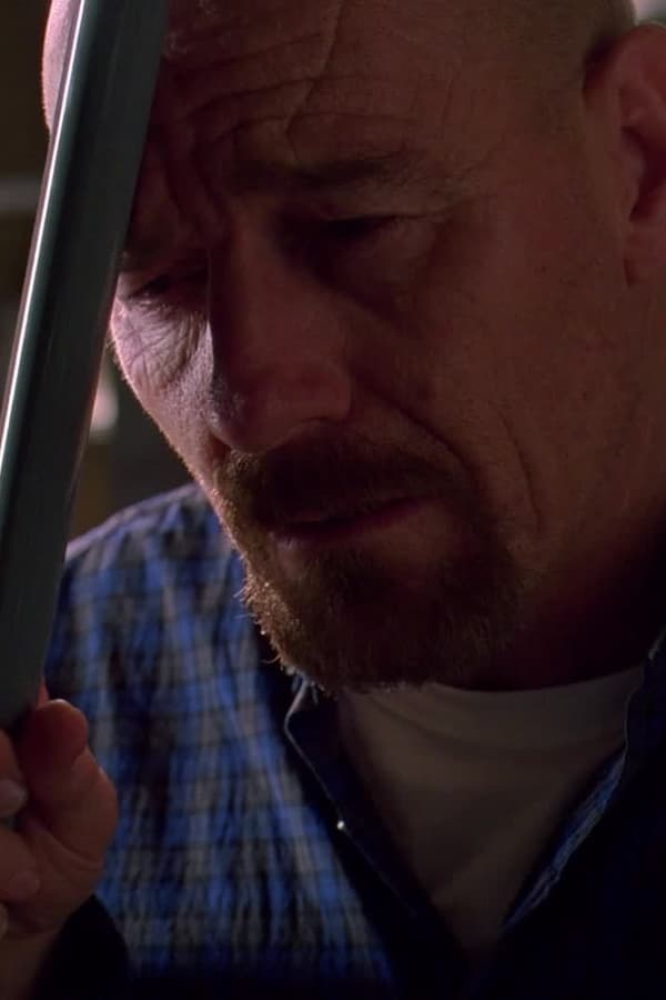 Breaking Bad – Reazioni collaterali – S03E10 – Caccia grossa