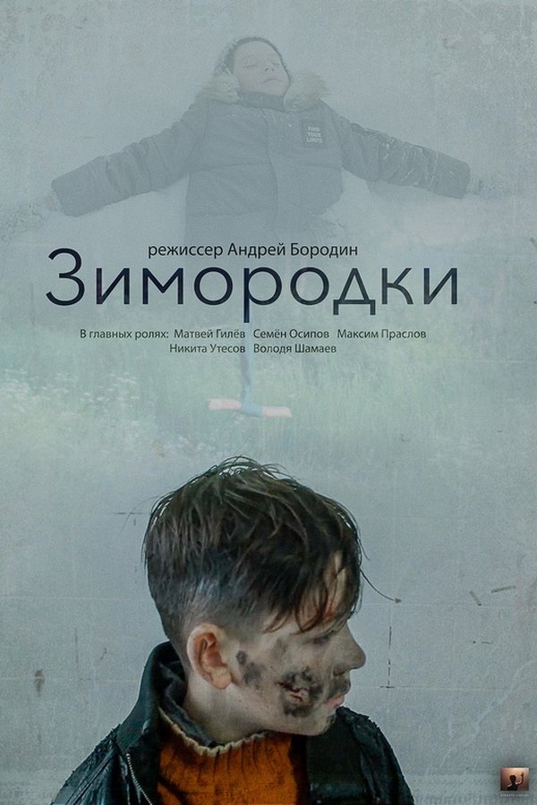 Kingfishers poster