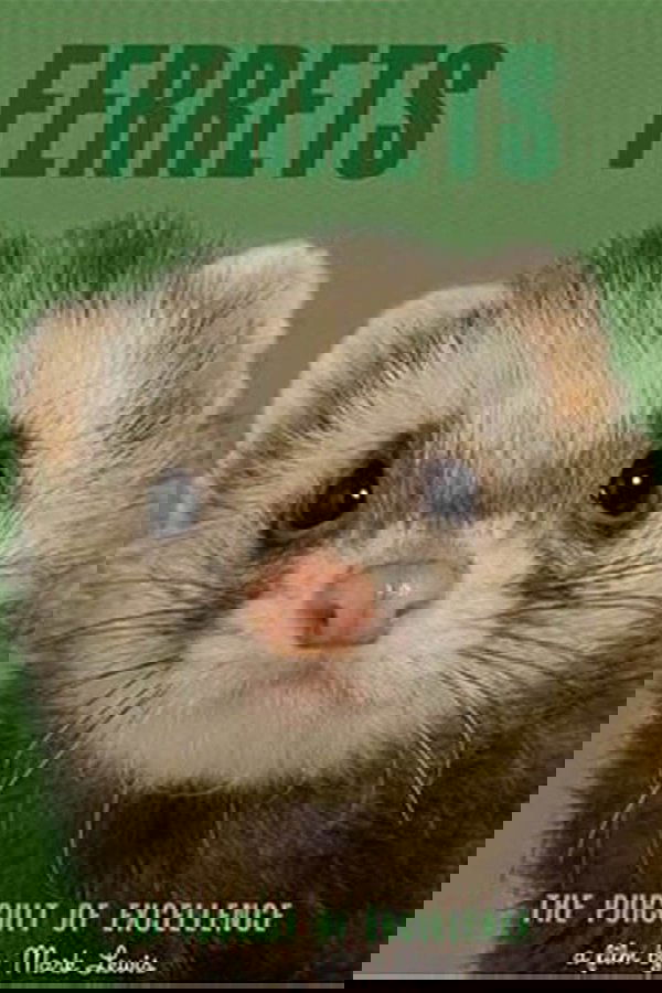Ferrets