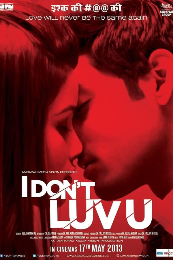 IN - I Don't Luv U  (2013)