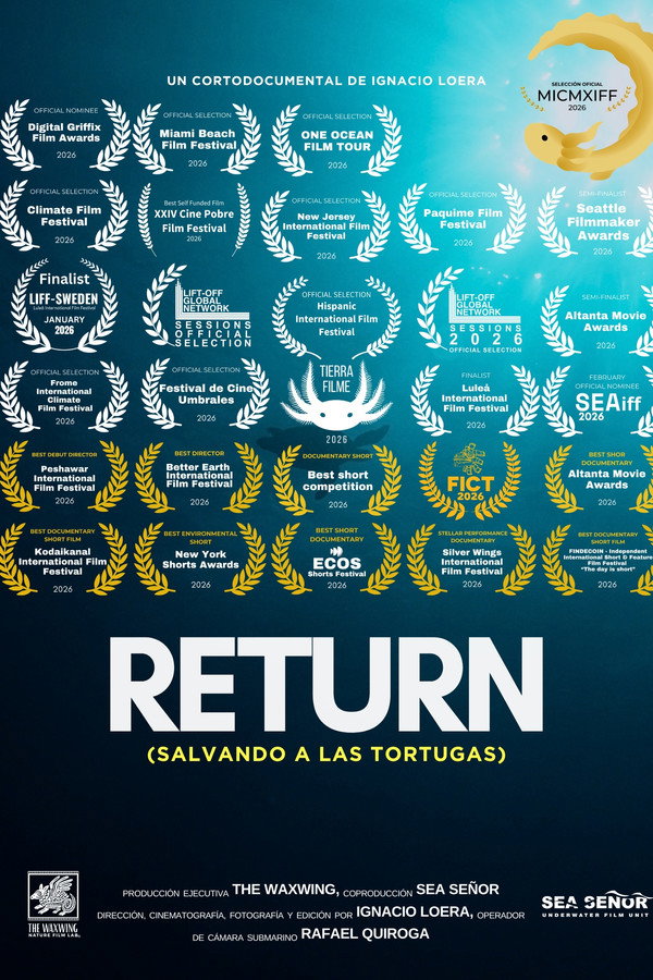 Return: Salvando a las tortugas