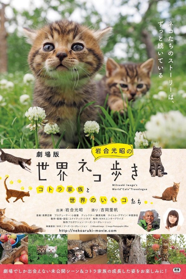 Iwagou Mitsuaki’s World Cat Walk