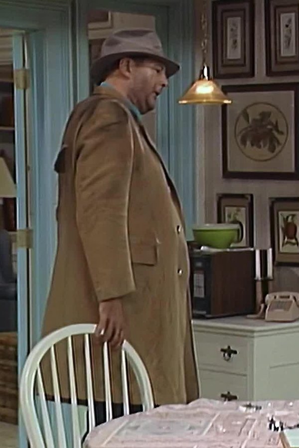 ALF – S03E08 – Il tacchino scomparso (2ª parte)