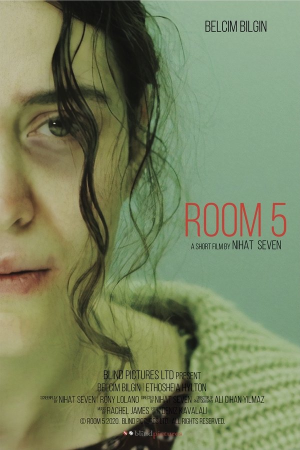 Room 5 poster