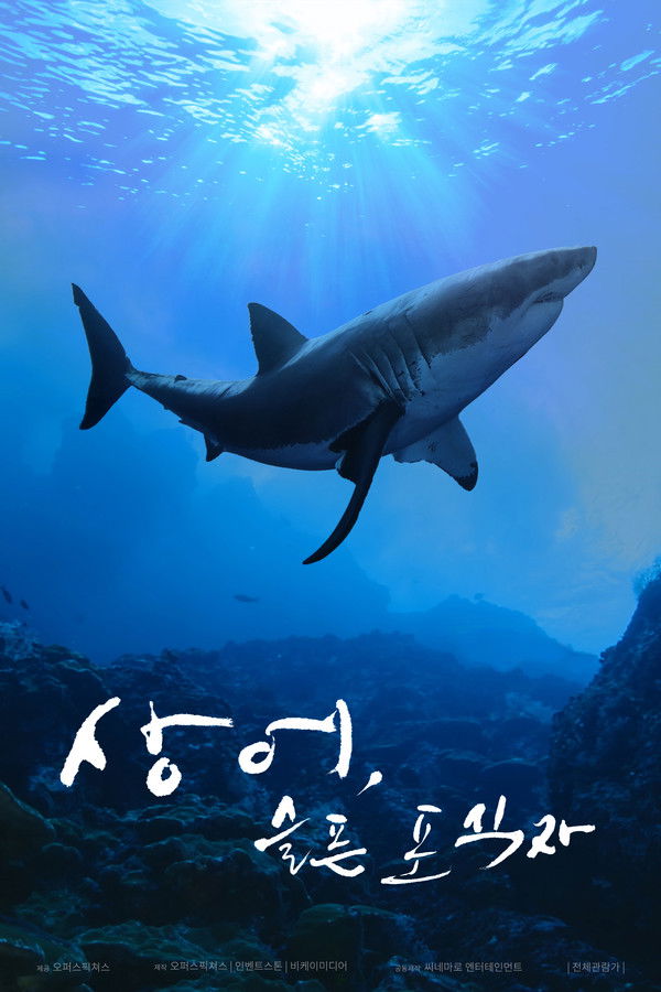 Shark, A Sad Predator