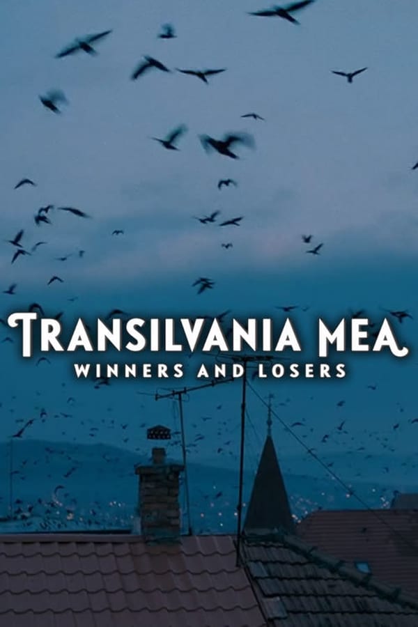 Transilvania Mea: Winners and Losers