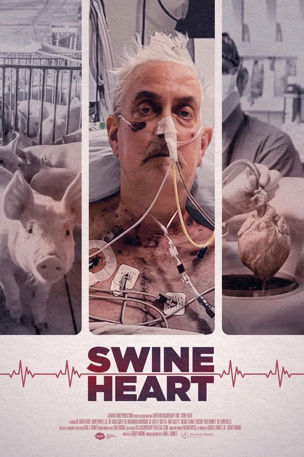 EN - Swine Heart - 2025