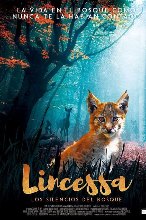 La protagonista del documental Lincessa. Los silencios del bosque tiene tan solo tres añitos y su hogar es un bosque habitado por otros animales. Lincessa no es un animal común y corriente, es cachorro de lince boreal y está empezando a enfrentarse a la vida en la naturaleza. La pequeña es muy intrépida, aventurera e independiente, lo que es el quebradero de cabeza de su madre. La propia Lincessa es la encargada de contar sus andanzas en este mundo en primera persona dirigiéndose a la cámara.