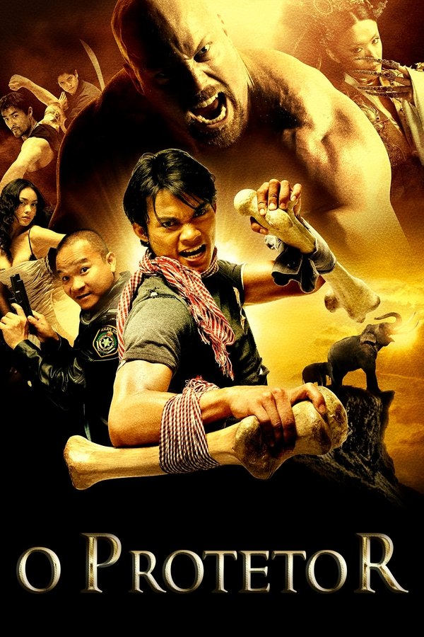 O Protetor (2005)