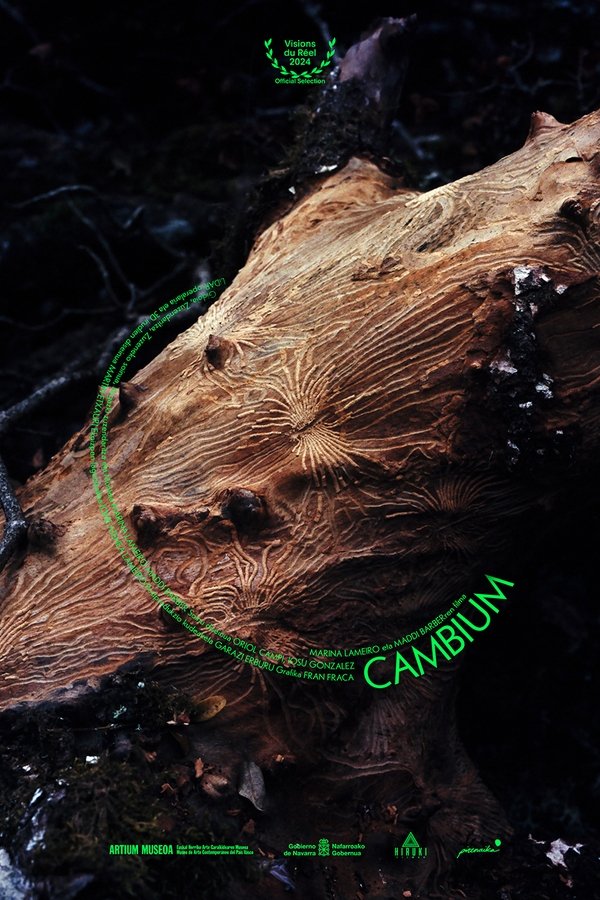 Cambium