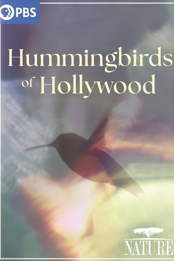 Hummingbirds of Hollywood (2025)
