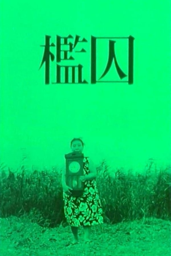 The Cage poster