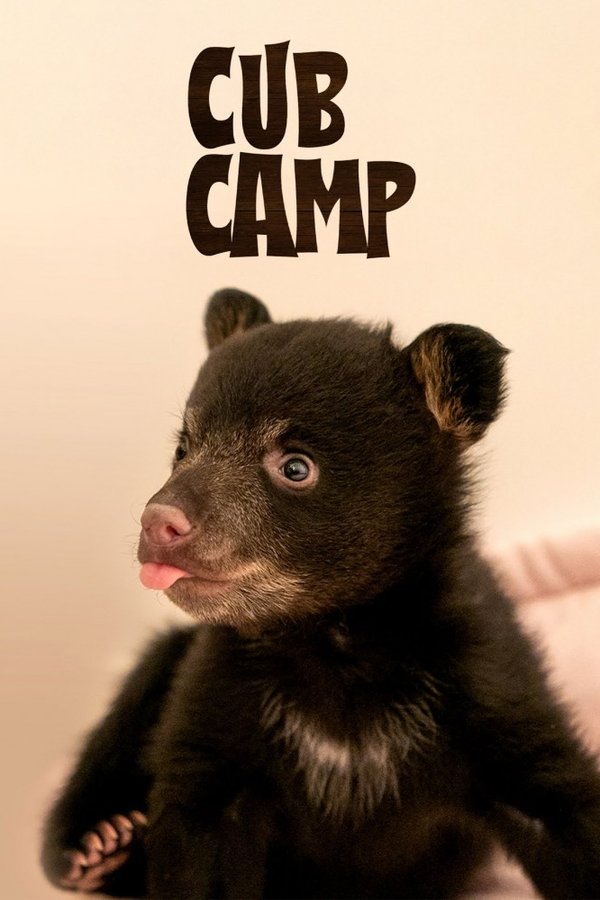 Cub Camp
