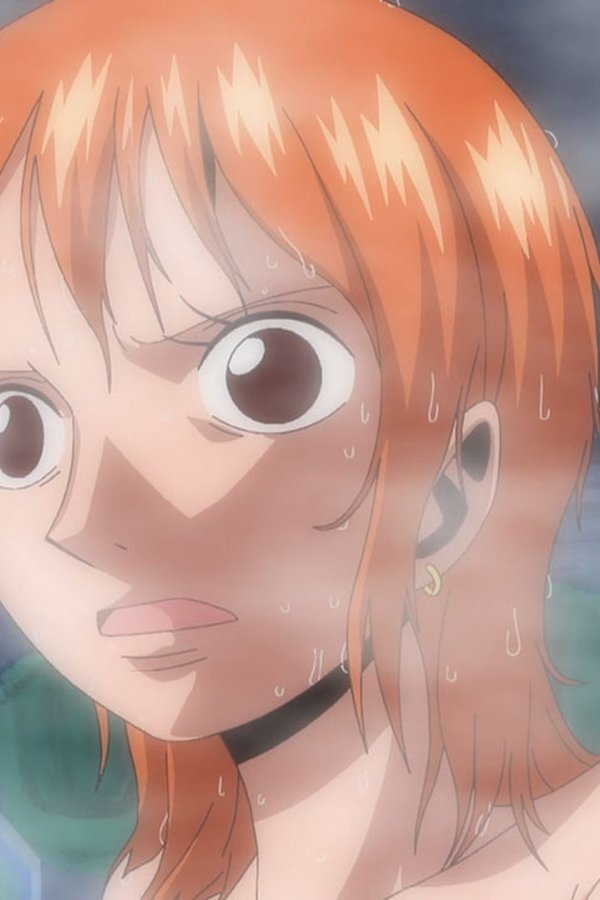 One Piece: All’arrembaggio! – S10E341 – Nami e l’uomo invisibile