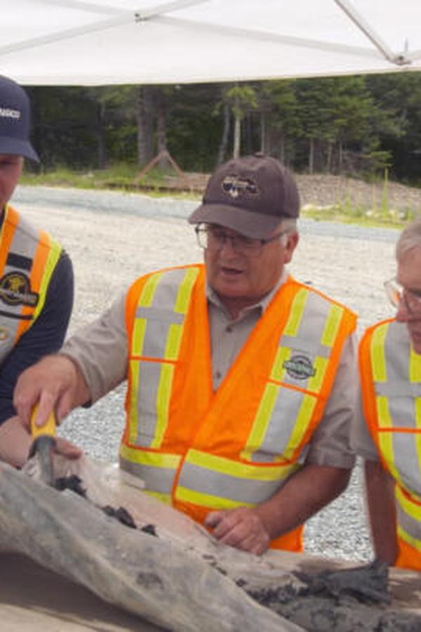 Oak Island e il tesoro maledetto – S09E02 – L’estasi dell’oro