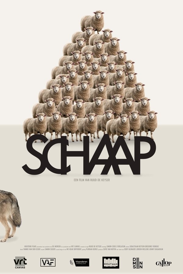 Sheep