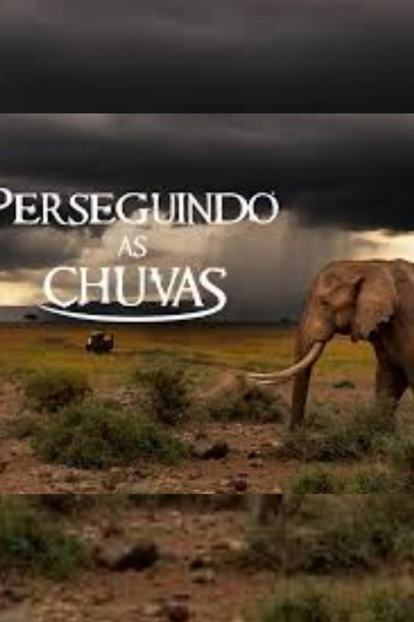 Perseguindo as Chuvas