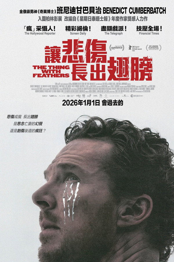 长翅膀的东西