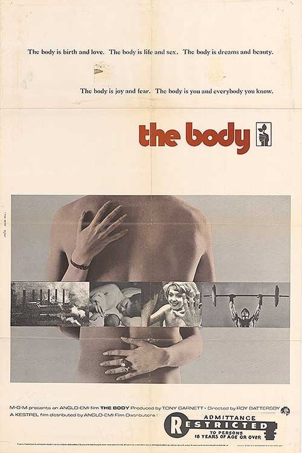 The Body