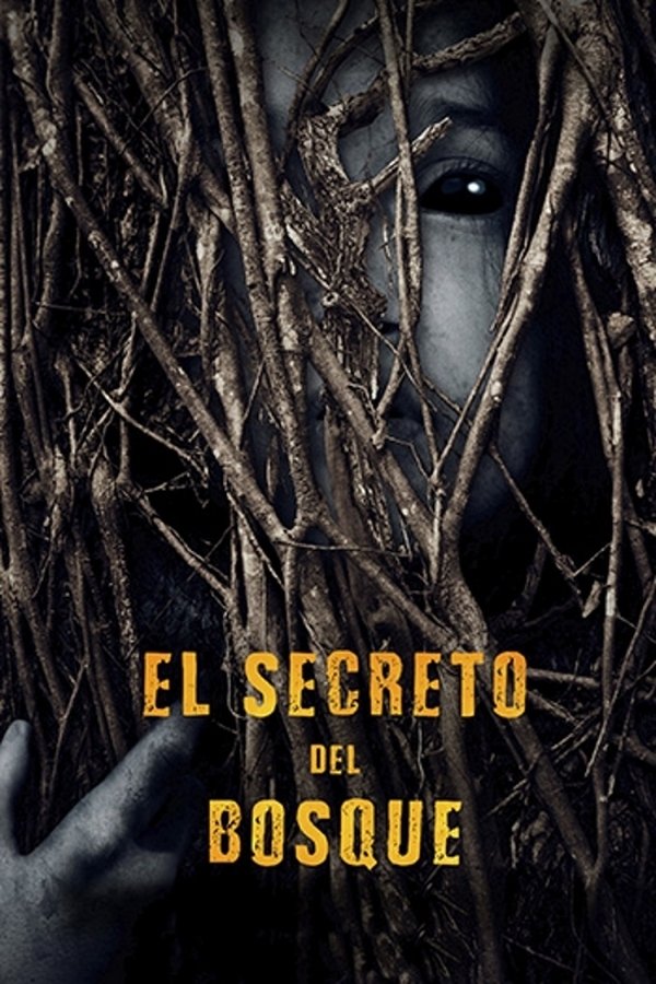 LAT - El Secreto del Bosque (2019)