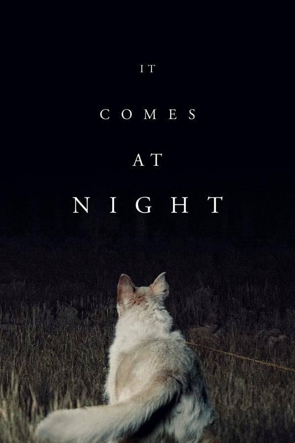 DE: It Comes at Night (2017)