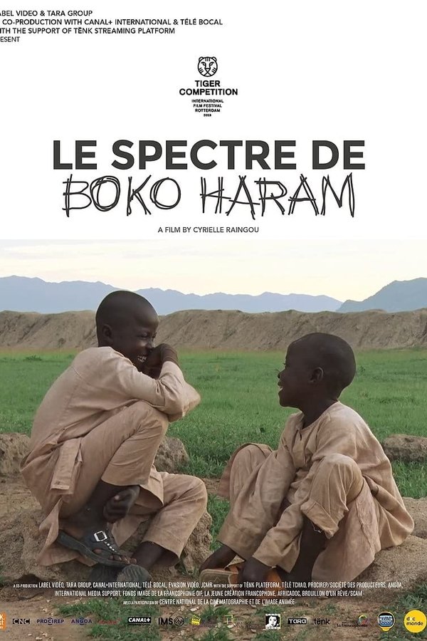 The Spectre of Boko Haram