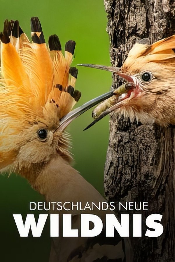 Deutschlands neue Wildnis
