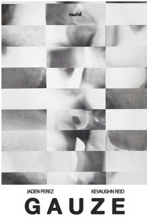 Gauze
