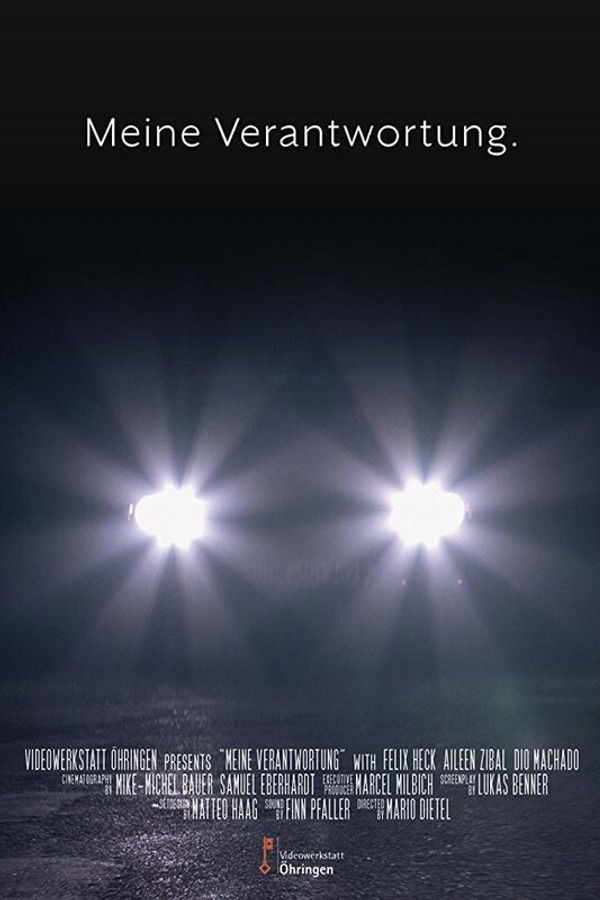 My Fault – My Responsibility