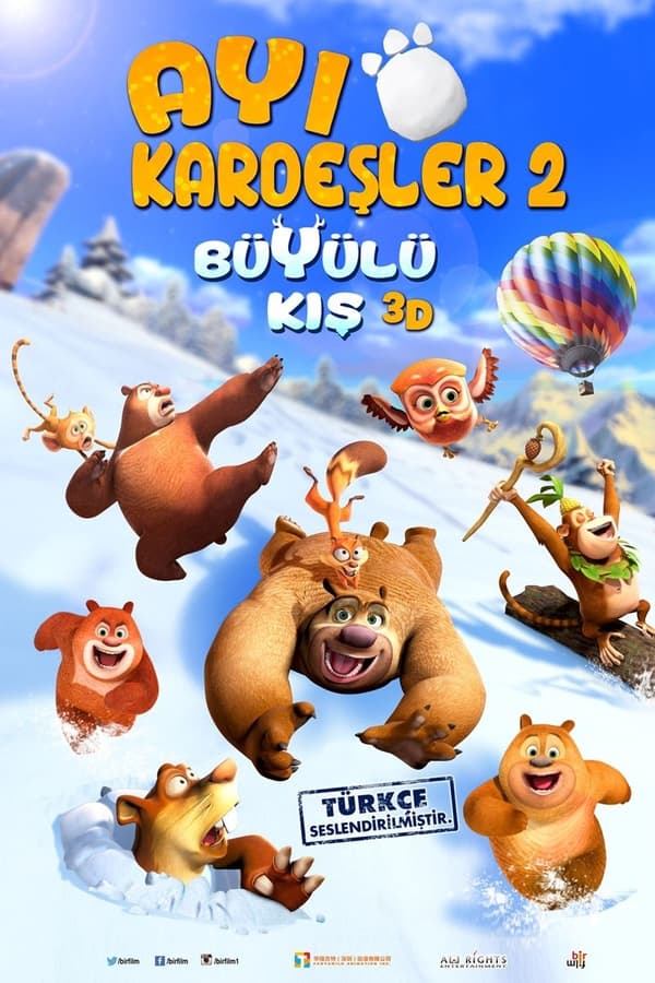 Ayı Kardeşler: Büyülü Kış