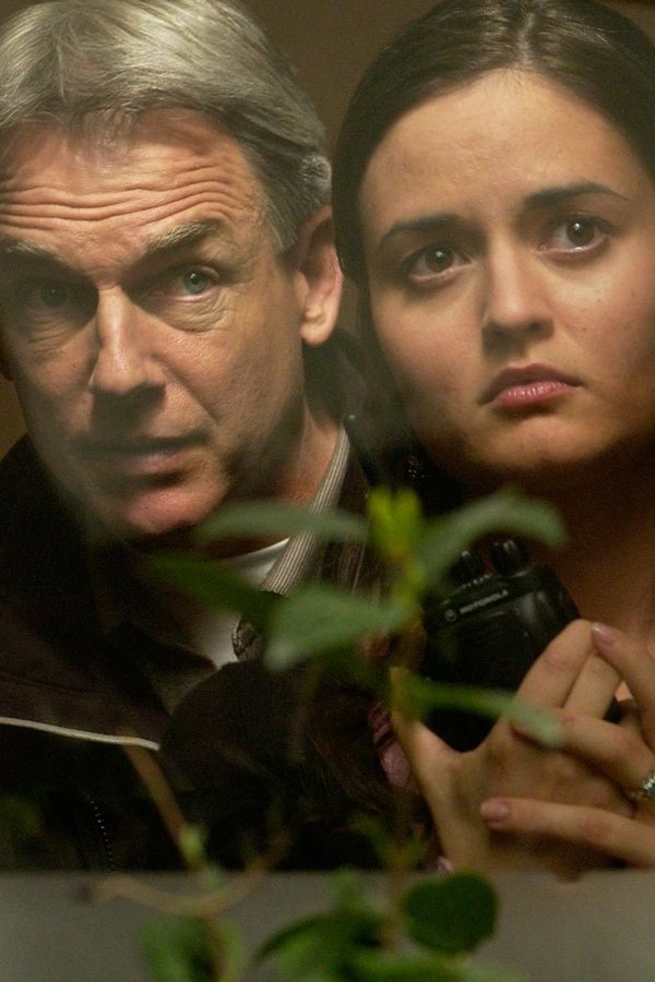 NCIS – Unità anticrimine – S02E14 – Testimone