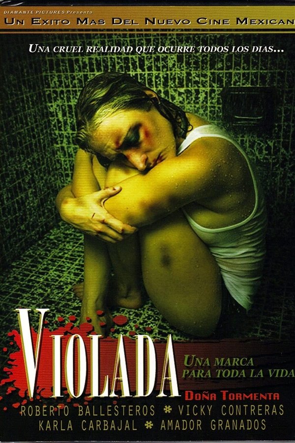 Doña Tormenta poster