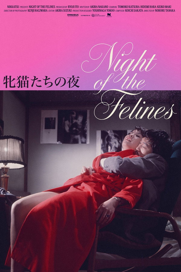Night Of The Felines