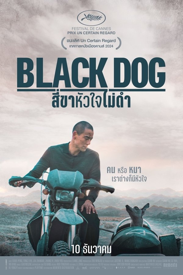 Black Dog สี่ขาหัวใจไม่ดำ 2024 พากย์ไทย/ซับไท