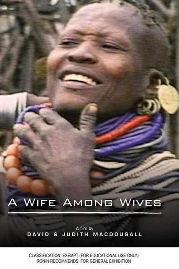 A Wife Among Wives poster