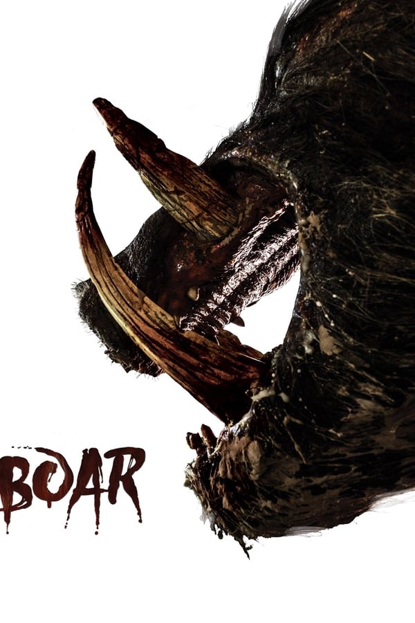 Boar