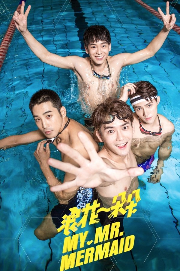 My Mr. Mermaid poster
