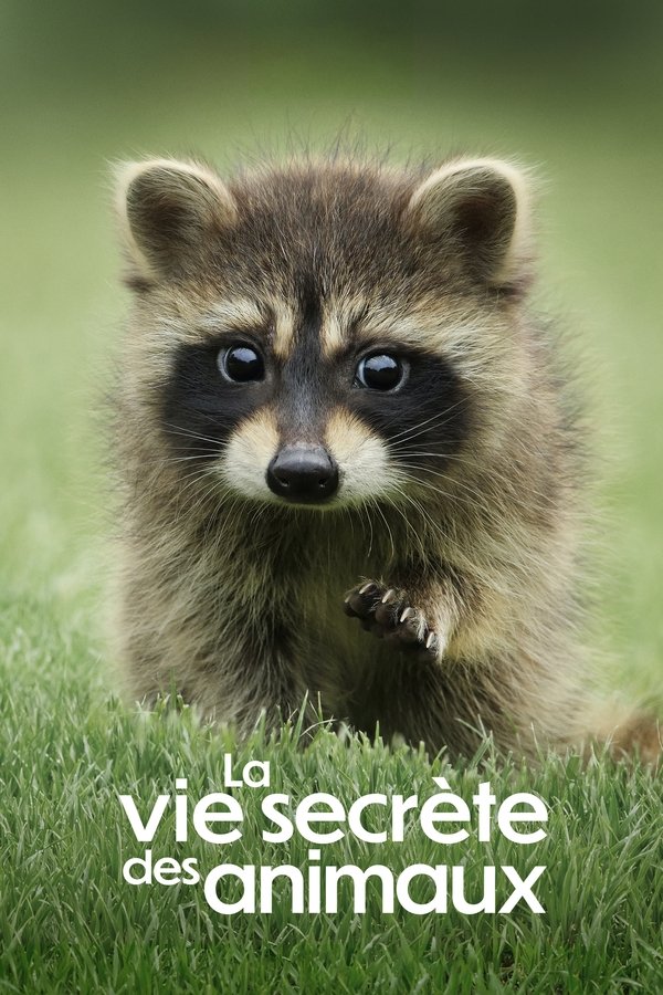La Vie secrète des animaux (2024)