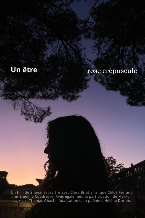 Un Être Rose Crépuscule poster