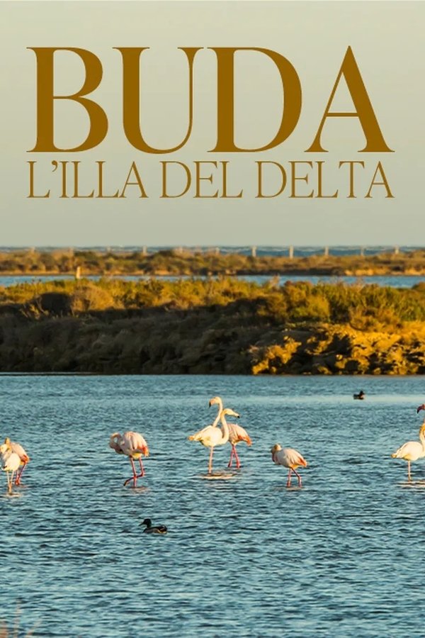 Buda, l’illa del Delta