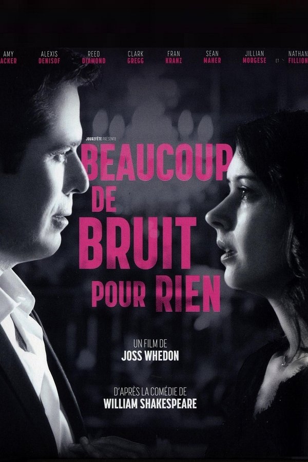 FR  - Beaucoup de bruit pour rien - 2013