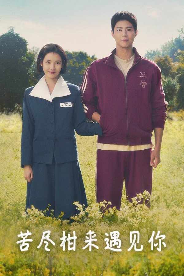 苦尽柑来遇见你 poster