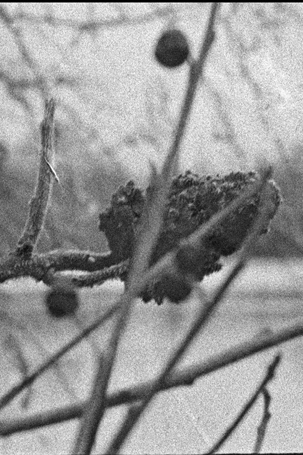 FR - River - 2023 [VOSTFR]