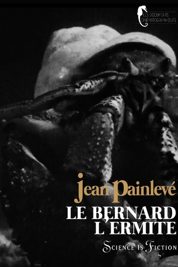 Hermit crab poster