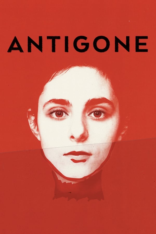 Antigone est une adolescente brillante au parcours sans accroc. En aidant son frère à s'évader de prison, elle agit au nom de sa propre justice, celle de l'amour et la solidarité.
 Désormais en marge de la loi des hommes, Antigone devient l'héroïne de toute une génération et pour les autorités, le symbole d'une rébellion à canaliser...