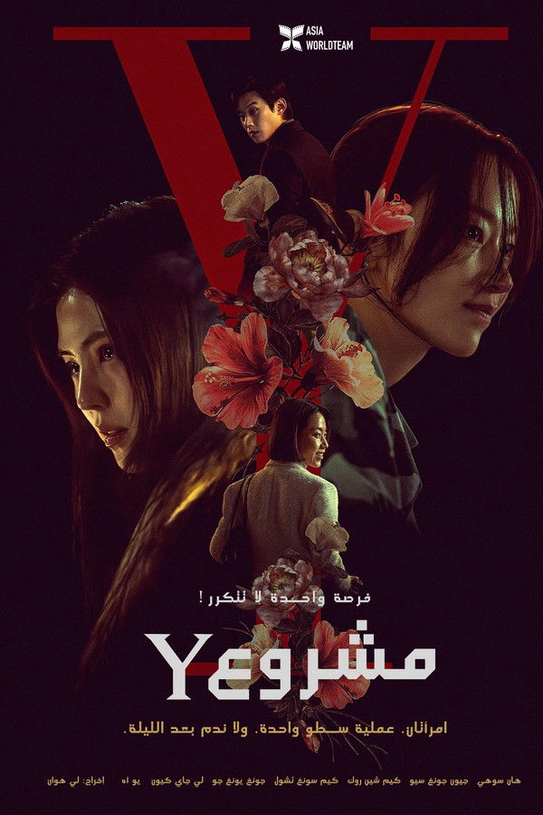 AR - Project Y (2026)