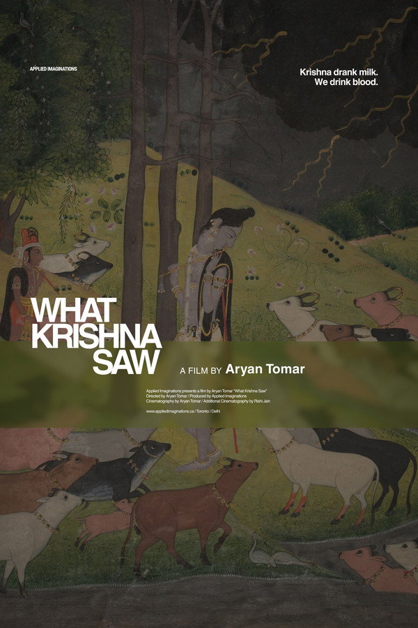 What Krishna Saw