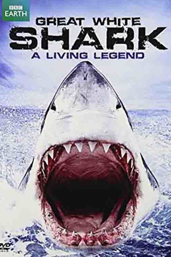 Great White Shark: A Living Legend